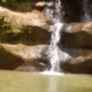 Meet your Posher, Tommy